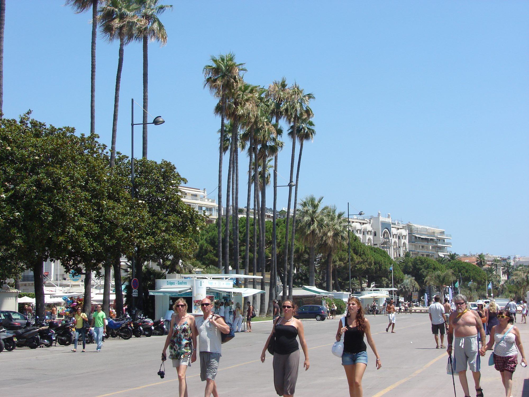 Croisette beach in Cannes, parasols and palm trees