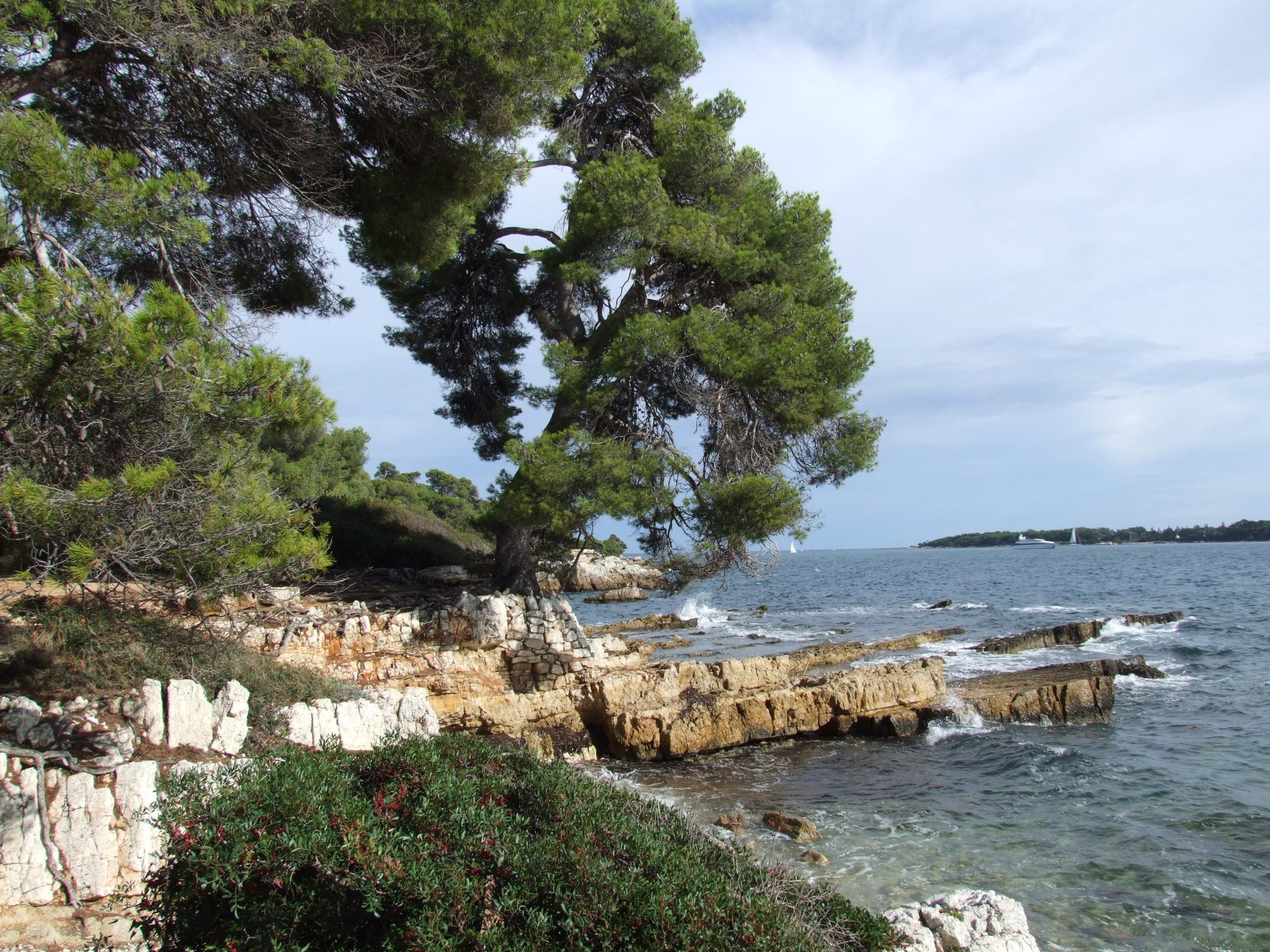 Sainte-Marguerite Island, Lérins Islands